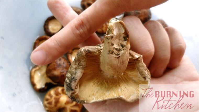 Shiitake Mushroom with long stem